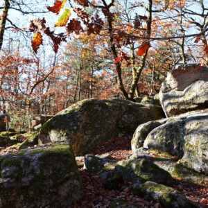 la roche aux fées de Quarré