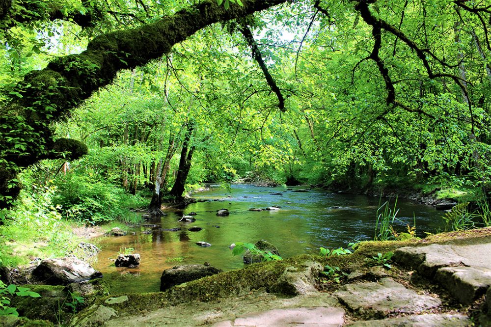 Vallée du Cousin à Avallon