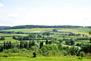 paysage Montréal