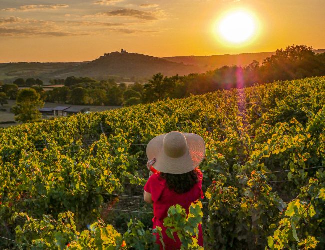 VIGNES-VZL-2023-CREDIT CORENTIN JANVIER (46)-2